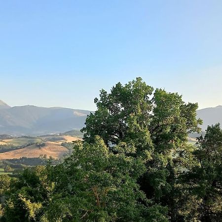 Pigno, Appartamento In Campagna カーリ エクステリア 写真