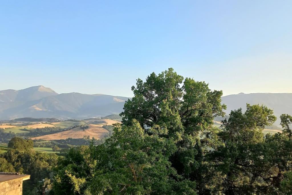 Pigno, Appartamento In Campagna カーリ エクステリア 写真